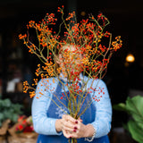 Fresh red Rosehip berry stems approximately 70cm long for Christmas wreaths, vases and festive arrangements.