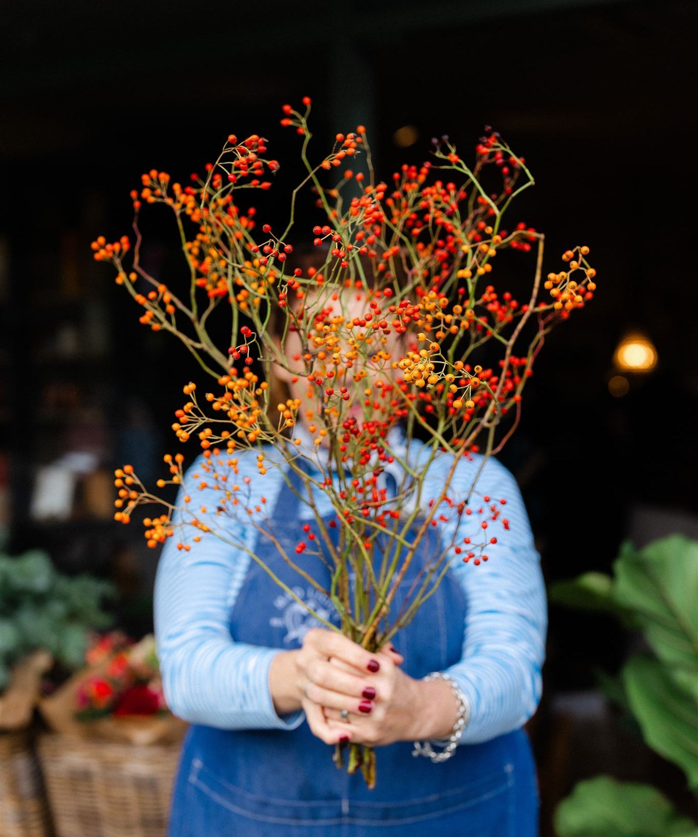 Fresh red Rosehip berry stems approximately 70cm long for Christmas wreaths, vases and festive arrangements.