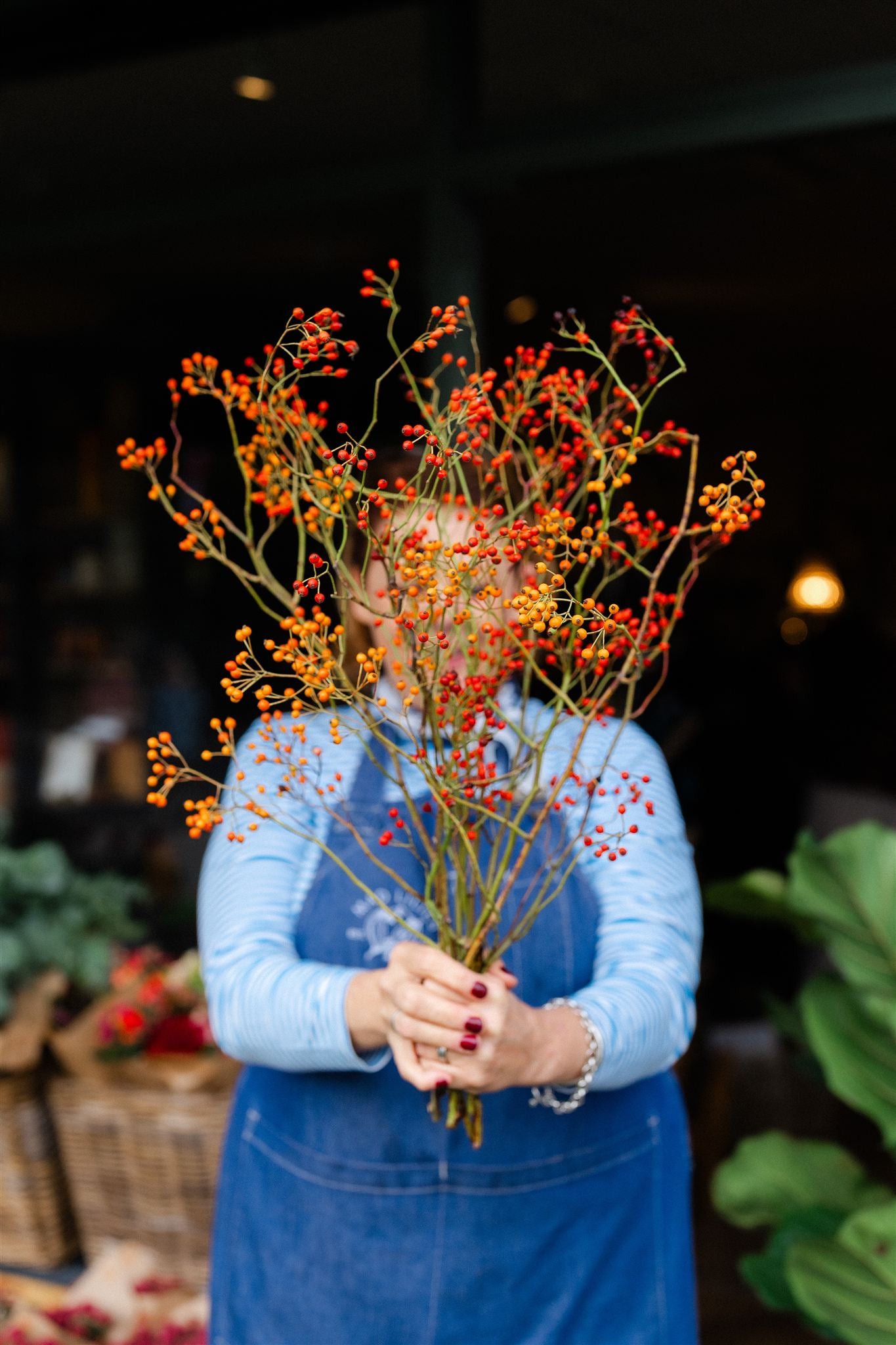 Fresh red Rosehip berry stems approximately 70cm long for Christmas wreaths, vases and festive arrangements.