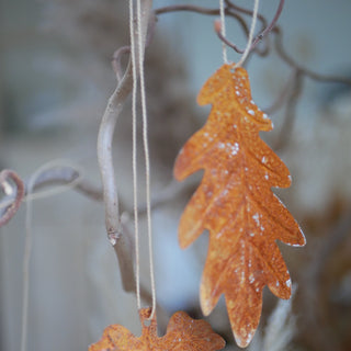 Rust Hanging Leaves