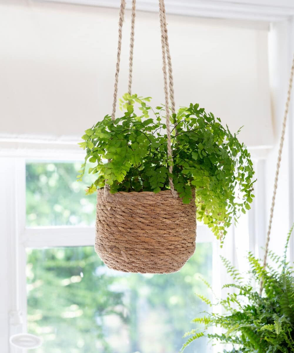 Natural jute hanging planter with liner for ferns and trailing indoor plants.
