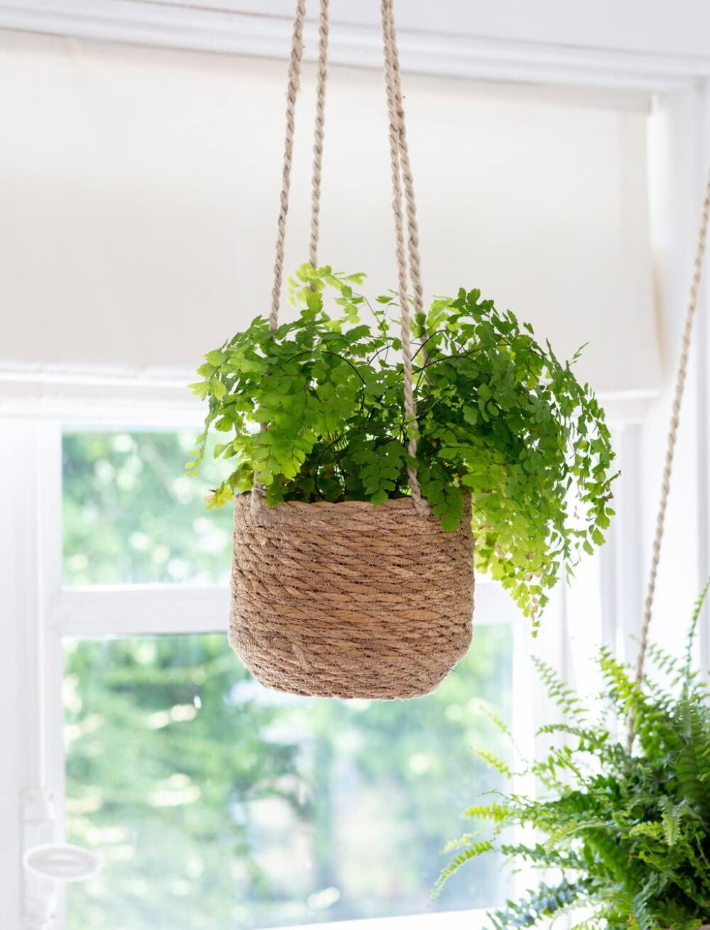Natural jute hanging planter with liner for ferns and trailing indoor plants.