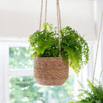 Natural jute hanging planter with liner for ferns and trailing indoor plants.