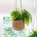 Natural jute hanging planter with liner for ferns and trailing indoor plants.