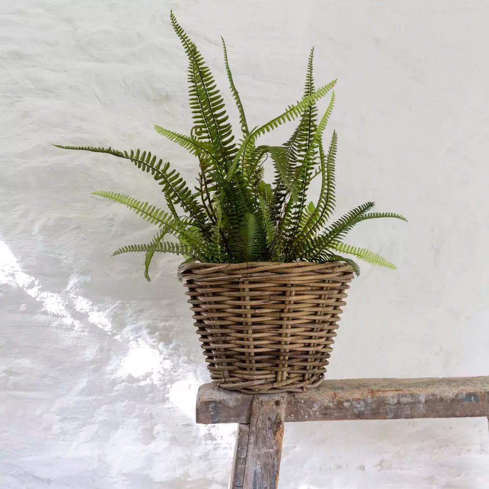 Kubu basket planters with waterproof lining. A natural woven plant pot, perfect for indoor plants, herbs and flowers.