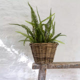 Kubu basket planters with waterproof lining. A natural woven plant pot, perfect for indoor plants, herbs and flowers.
