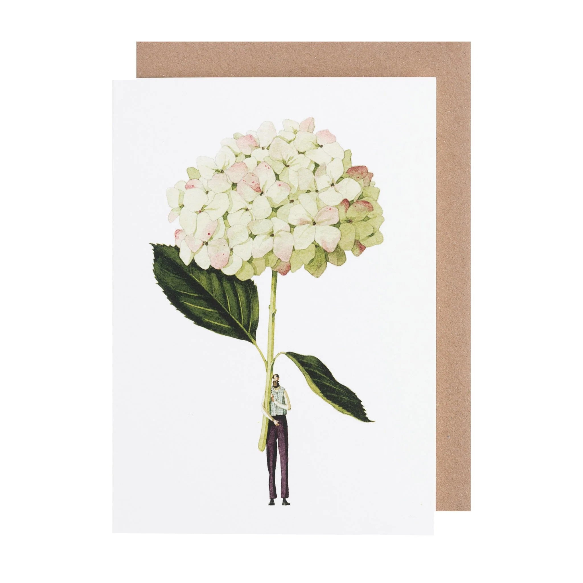 Laura Stoddart Green Hydrangea card. A beautiful eco-friendly floral greeting card, designed and made in England.