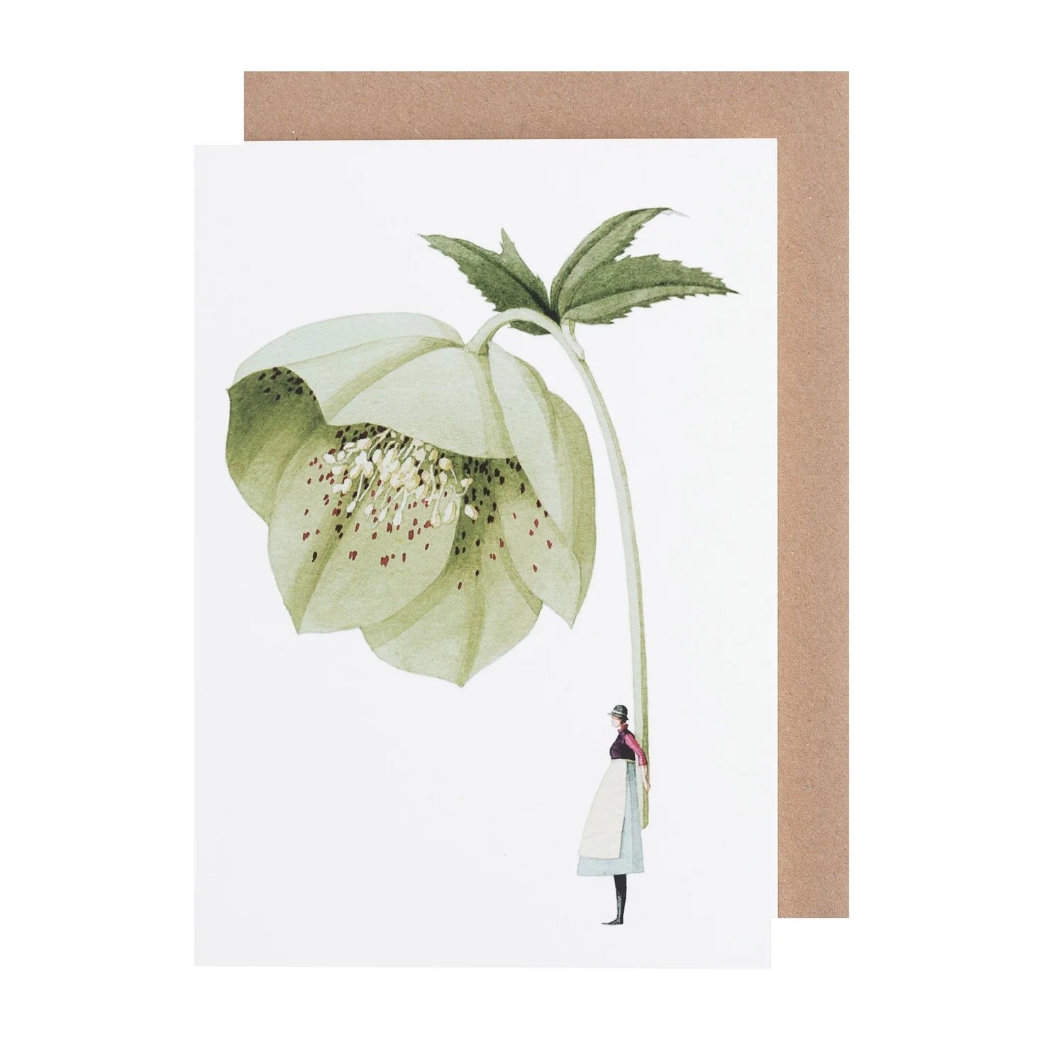 Shop the Laura Stoddart Hellebore greetings card at Mad Lilies. Beautiful floral illustration card, designed and made in England on sustainable paper.