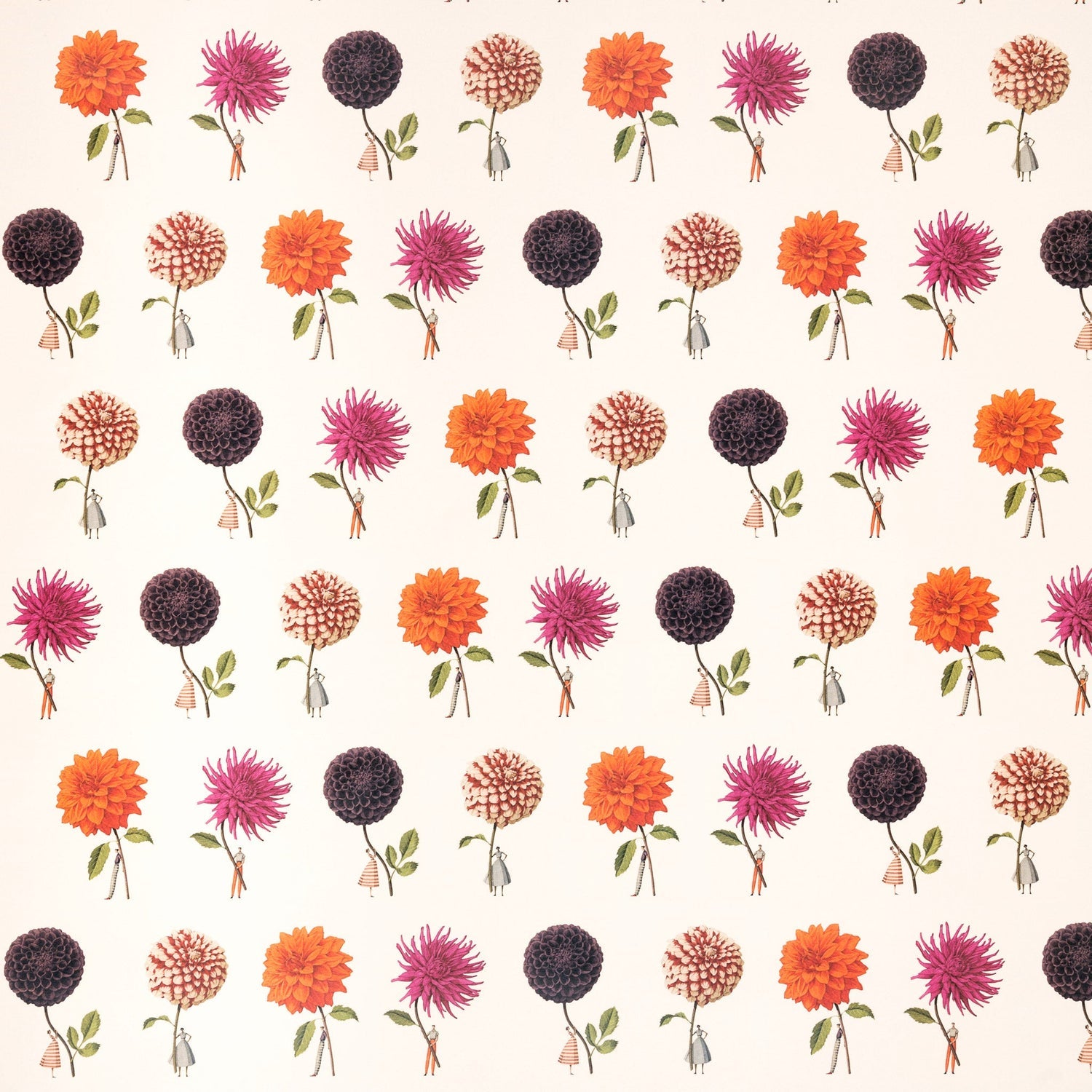 Beautiful floral gift wrap featuring painterly dahlia illustrations by Laura Stoddart. Luxury FSC-approved wrapping paper made in England.
