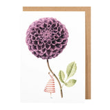 Elegant Laura Stoddart Purple Dahlia greetings card made in England on sustainable paper. Beautiful floral card perfect for thoughtful occasions.