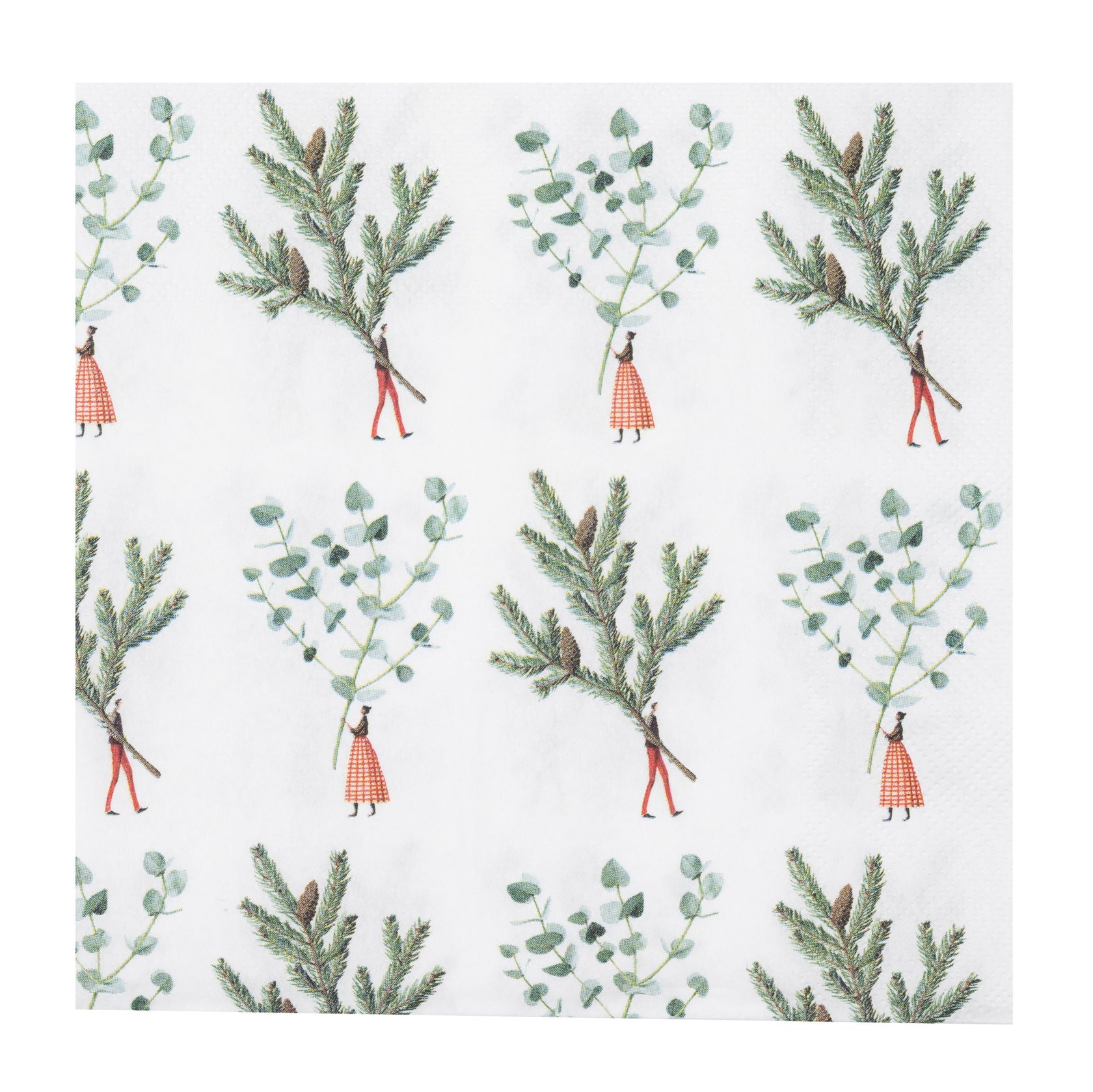 Spruce and eucalyptus illustrated Christmas paper napkins