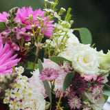 The Lionesses Bouquet