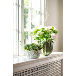 Green and white stoneware planter featuring foliage, fauna and butterfly motifs. A decorative plant pot perfect for houseplants and indoor styling.