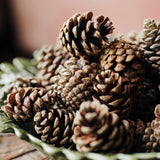 Natural pine cones for Christmas wreath making, festive garlands, table styling and seasonal Christmas crafts.