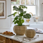 Norwick natural seagrass pumpkin-shaped basket, available in small and large sizes for autumn styling and storage.