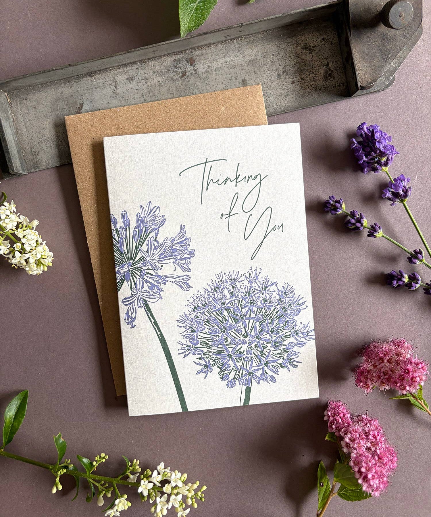 Penguin Ink Thinking of You floral letterpress greeting card featuring purple alliums and agapanthus, green stems and elegant modern calligraphy.
