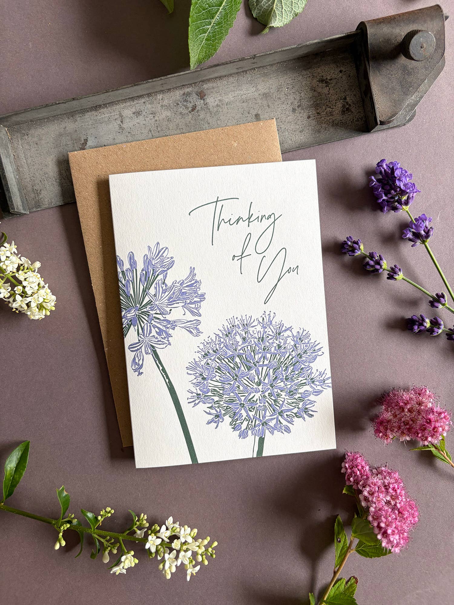 Penguin Ink Thinking of You floral letterpress greeting card featuring purple alliums and agapanthus, green stems and elegant modern calligraphy.