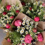 Coral Charm peony posy featuring soft seasonal flowers in a natural meadow-inspired style.