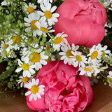 Peony & Chamomile Posy