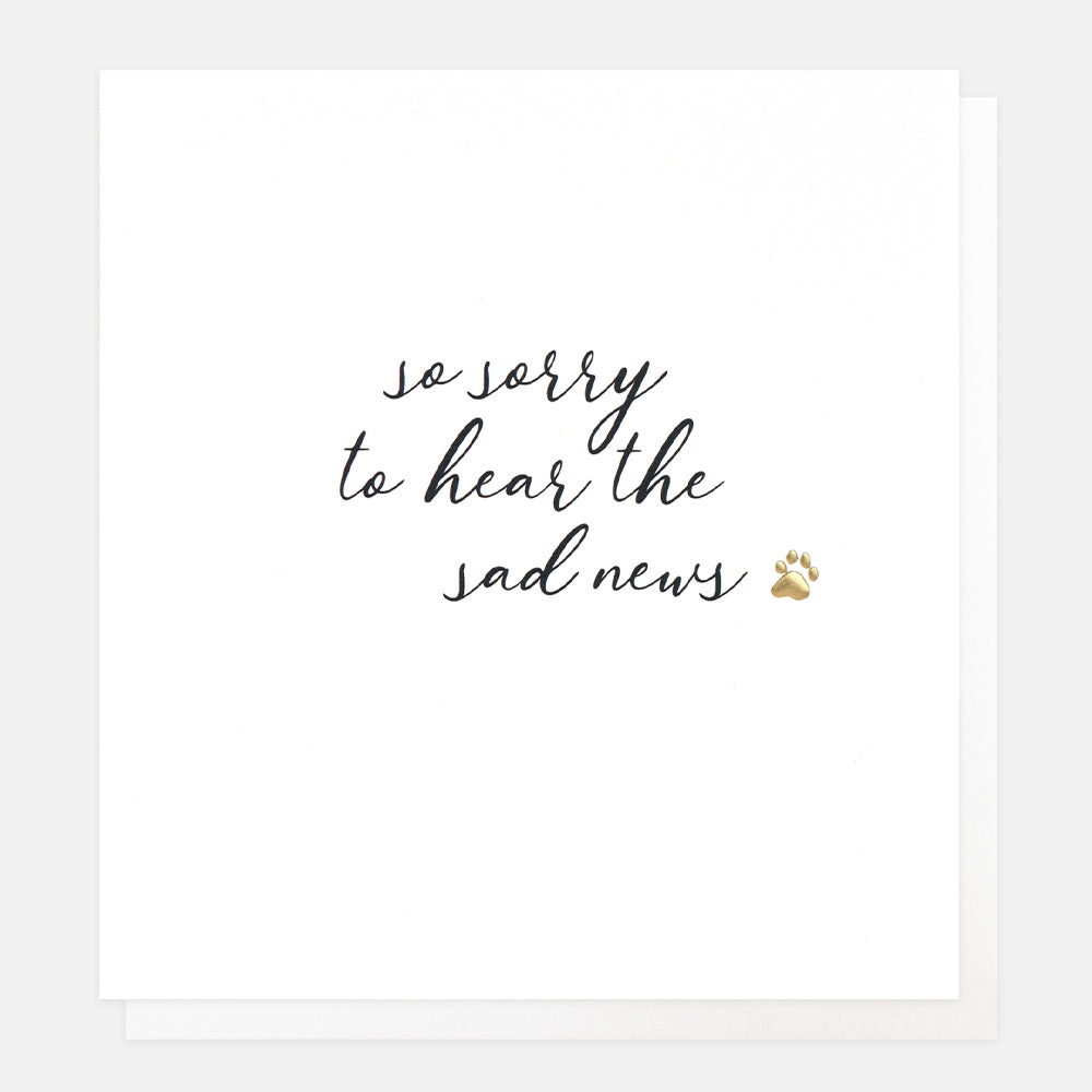 Pet sympathy card featuring a simple paw print design and the message "So Sorry to Hear Your Sad News", with a white envelope included.