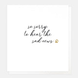 Pet sympathy card featuring a simple paw print design and the message "So Sorry to Hear Your Sad News", with a white envelope included.