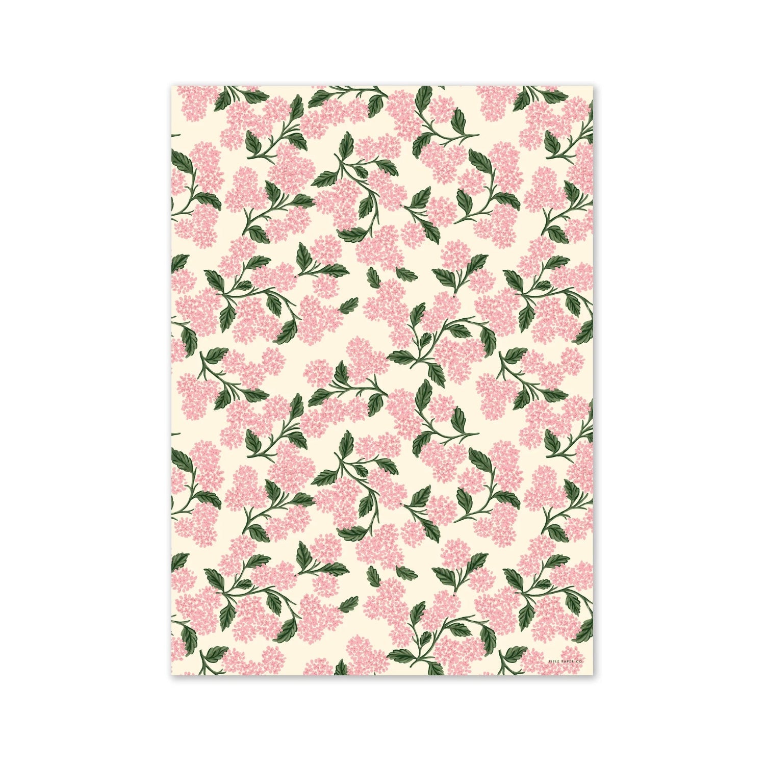 Shop Rifle Paper Co. Pink Hydrangea Wrapping Paper. Three 500 × 700mm floral gift wrap sheets featuring beautiful pink hydrangeas in plastic-free packaging.
