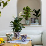Shop the Porto Mediterranean tile planter, hand-finished in Europe and available in green or blue. Artisan style for indoor and outdoor spaces.