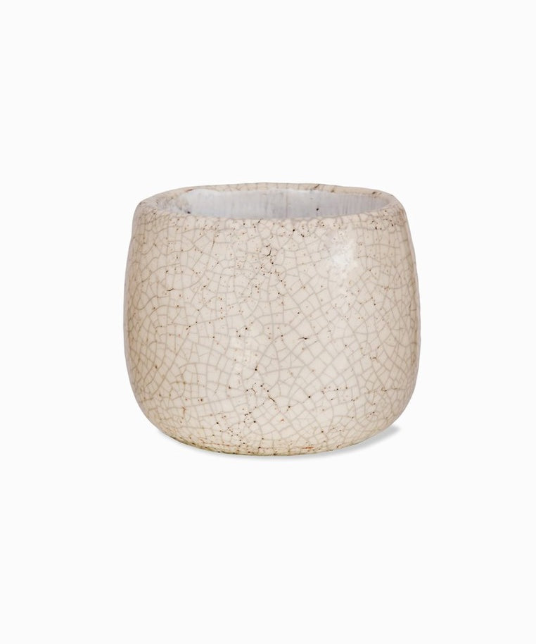 Ravello white stoneware indoor plant pot with a delicate crackle glaze and rounded shape, available in 15.5cm size