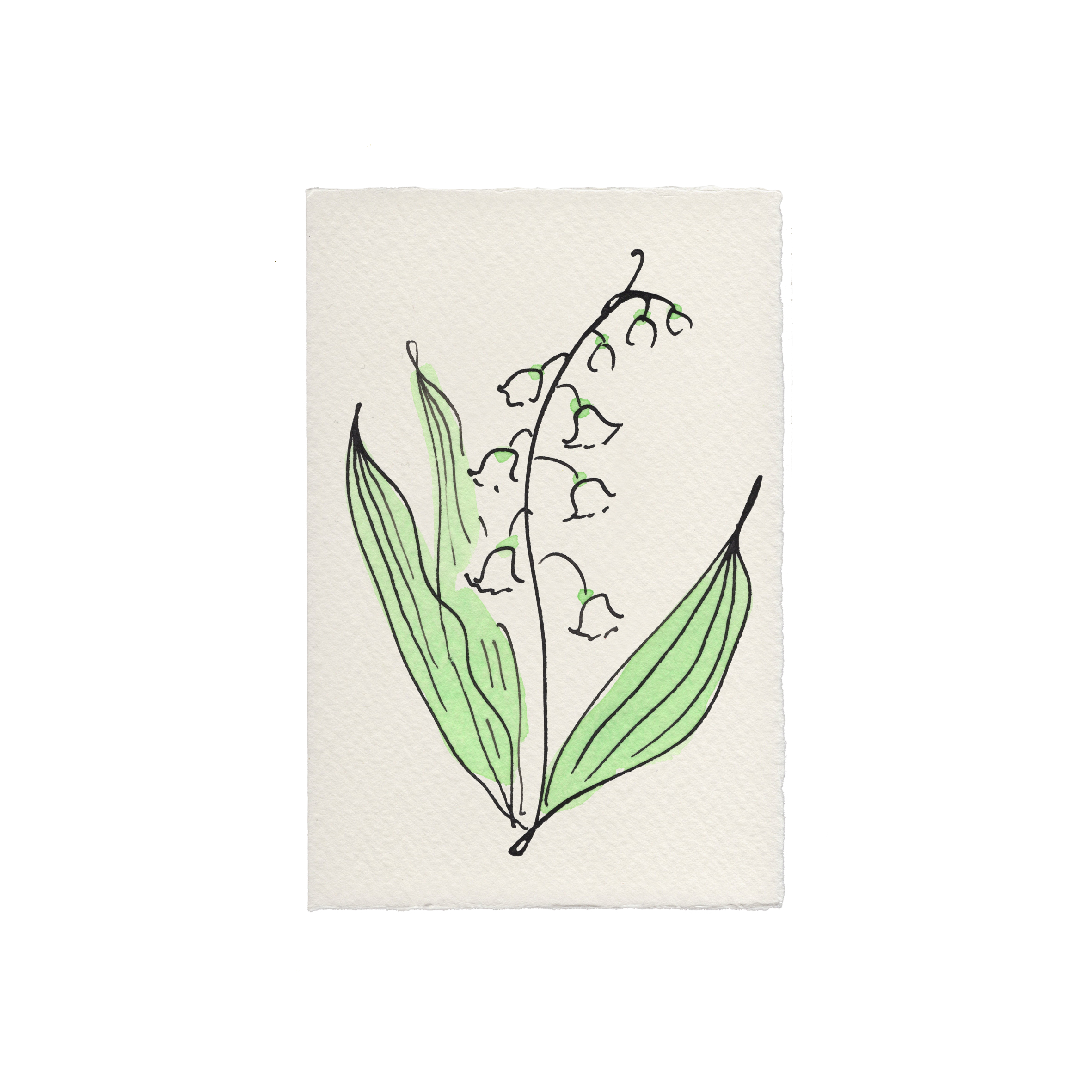 Scribble & Daub Lily of the Valley hand-painted botanical greeting card.