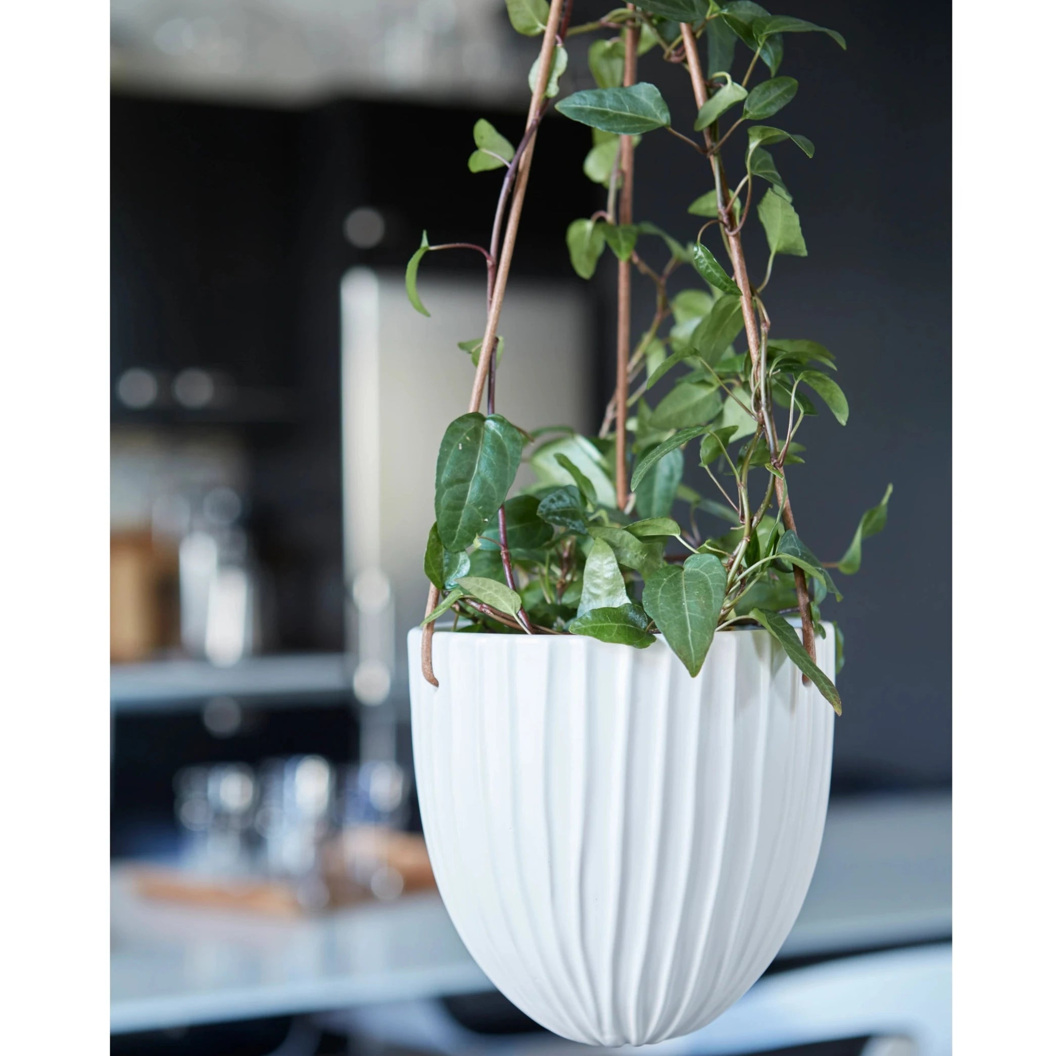 Shop the Sigrid White Matt Hanging Pot, a stylish Scandinavian-inspired hanging planter perfect for trailing houseplants and modern interiors.