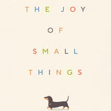 The Joy of Small Things hardback by Hannah Jane Parkinson, a heartwarming collection of humorous essays celebrating mindfulness, simple pleasures and everyday happiness.
