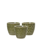 Vania green patterned mini plant pots in assorted designs
