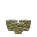 Vania green patterned mini plant pots in assorted designs