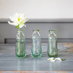 Vernham Set of 3 Recycled Glass Bottles for single flower stems and wildflowers.