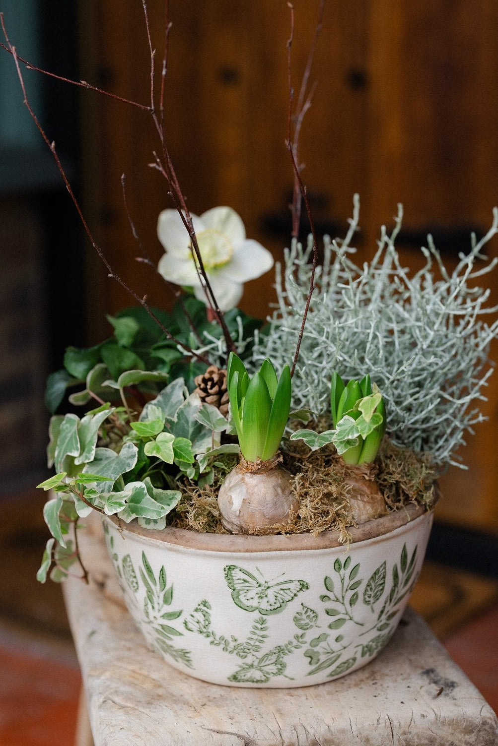 The Winter Duchess green and white winter planter with cyclamen hyacinths and silvery foliage by Mad Lilies