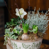 The Winter Duchess green and white winter planter with cyclamen hyacinths and silvery foliage by Mad Lilies