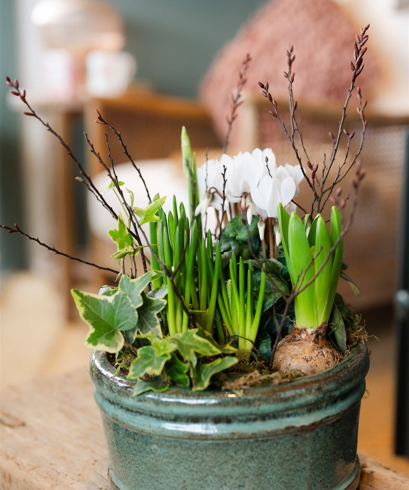 The Winter Wildling seasonal winter bulb planter with cyclamen paperwhites hyacinths and trailing greenery