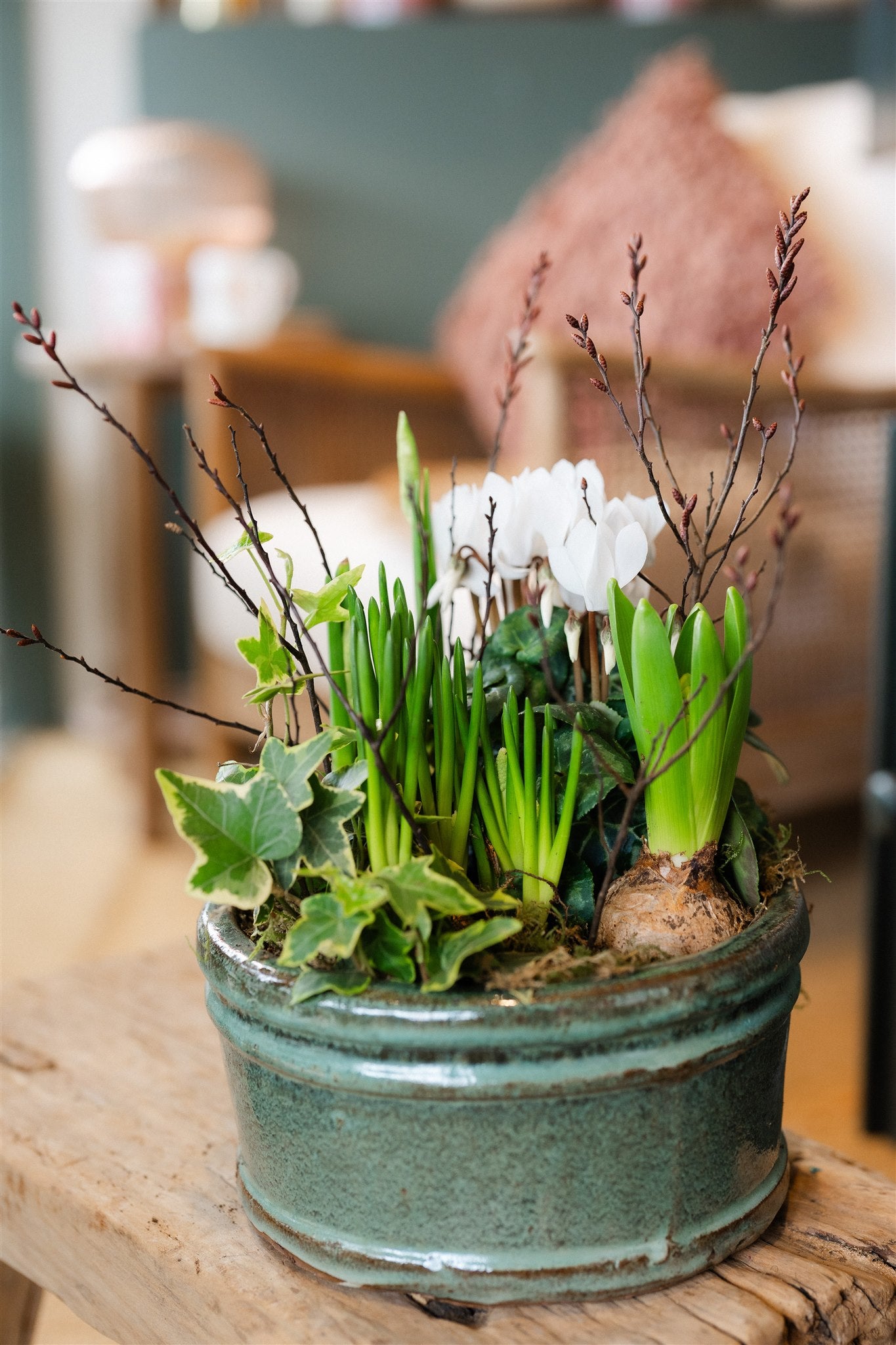 The Winter Wildling seasonal winter bulb planter with cyclamen paperwhites hyacinths and trailing greenery