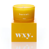 WXY Lucent Sunshine and Cedar scented candle hand-poured in the UK with plant-based wax.