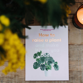 How to raise a plant and make it love you back