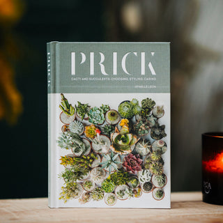 PRICK: Cacti and Succulents (HB)