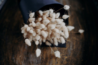 Dried Bunny Tails - 60cm
