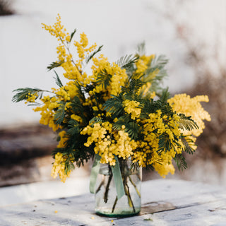 Mimosa Vase
