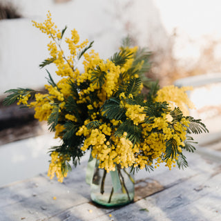 Mimosa Vase