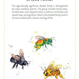Little Book Of Bees