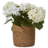 Belle Pots