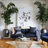 Decorating with plants (HB)