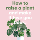 How to raise a plant and make it love you back