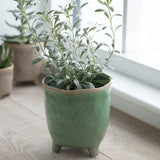 Positano Pot Foliage Green Small