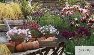 Pots for all seasons (HB)